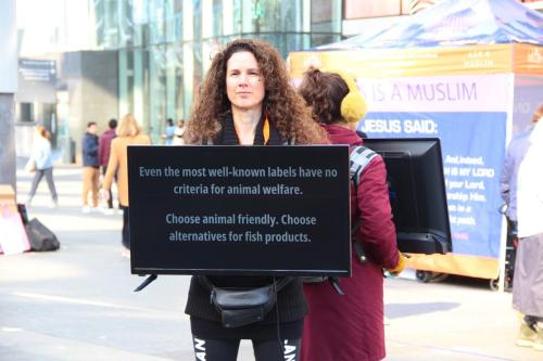 Activist met beeldscherm