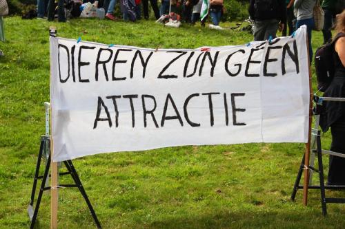 Dieren zijn geen attractie