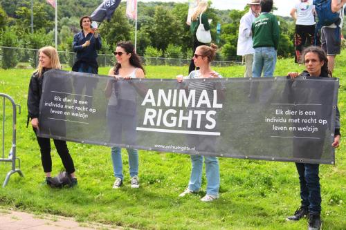 Animal Rights