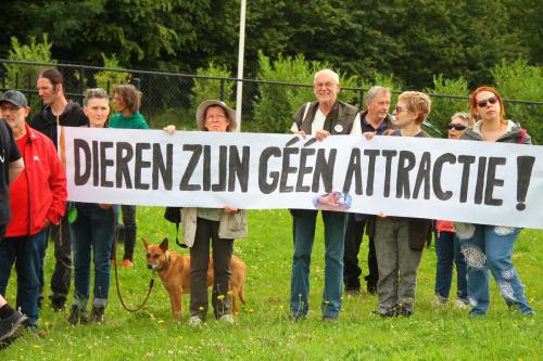 Dieren zijn geen attractie